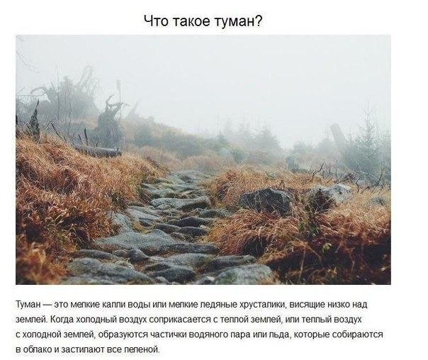    ,     - 6