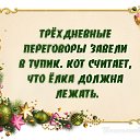 ���� ����� �������, ����, 57 ��� - ��������� 28 ������� 2016 � ������ ������ ��������