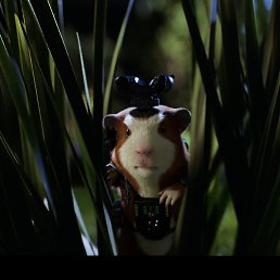 ���� �������, ������, 53 ���� - ��������� 21 ������� 2016