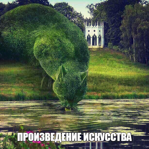     - 2  2017  13:00
