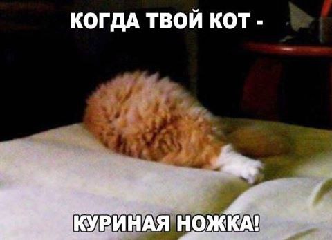  -  - 17  2017  11:21