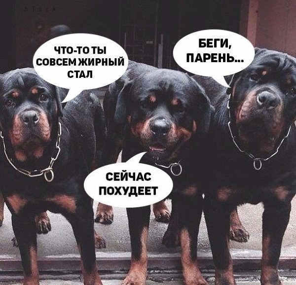 SportFeed - 1  2016  18:22