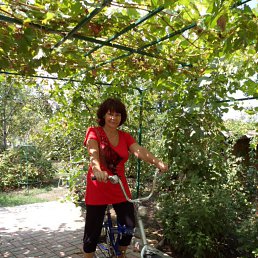 ���� �������, ���������� - ��������� 4 ������� 2017