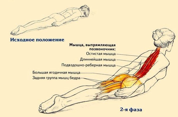 ВСЕГО ОДНО УПРАЖНЕНИЕ ДЛЯ КОРОЛЕВСКОЙ ОСАНКИ.Сутулость – это не только эстетический недостаток. ...