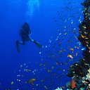 ���� ������, ������ - ��������� 23 ������� 2016 � ������ ����� ��� �������