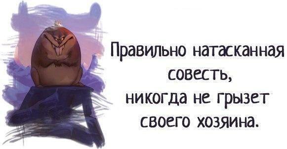 Art & Fun - 23  2017  13:11