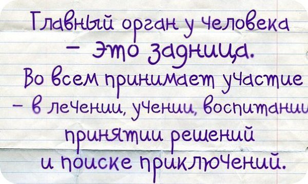 Art & Fun - 3  2016  09:38