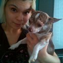 ���� ��������, ������������� - ��������� 18 ����� 2017 � ������ ������ 2016-2017�