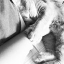  Eff, , 34  -  12  2017    