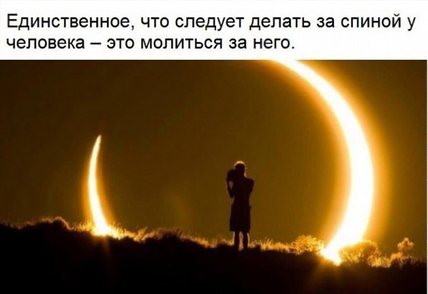 ������� ��� ���� - 3 ������ 2017 � 20:31