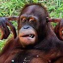 ���� ������, ������ - ��������� 5 ������� 2016 � ������ ������