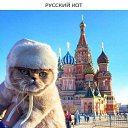 ���� �����, ���� - ��������� 25 ������ 2017 � ������ ������ ��������