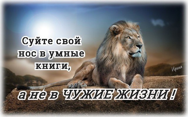  ... - 21  2016  22:58