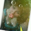 ���� �������, ������, 27 ��� - ��������� 2 ������� 2017 � ������ ���� ����������