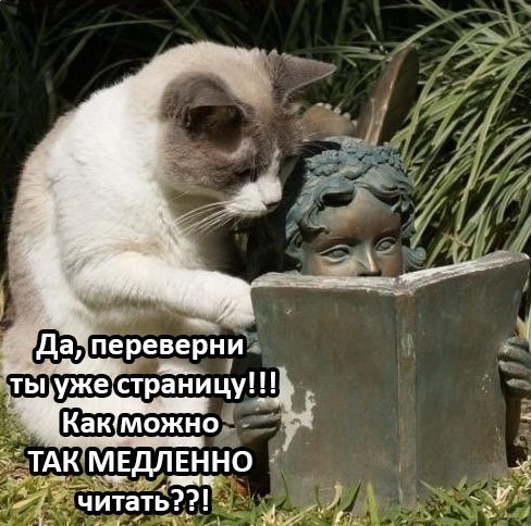    :D - 12  2016  10:34