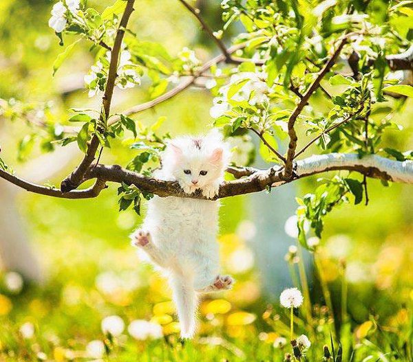 Говорят, что сплетники, обсуждая человека, забирают его грехи. Спасибо вам! Теперь мне можно жить ... - 2