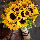 ���� L�, �������, 49 ��� - ��������� 2 ������ 2017 � ������ ���� ����������