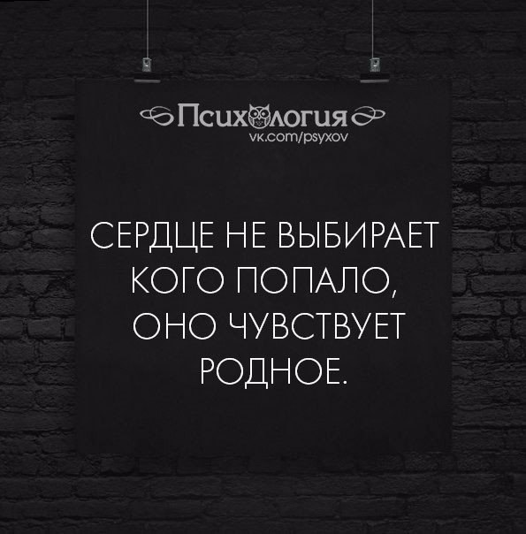  - 24  2017  11:06