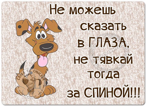  - 9  2016  13:53