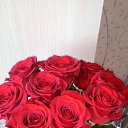  , -, 54  -  10  2016    ۻ