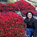 ���� ��������, ���� - ��������� 12 ������� 2016 � ������ ���� ����������