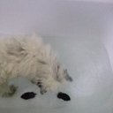 ���� ������, ������, 43 ���� - ��������� 12 ������� 2016 � ������ ���� ����������