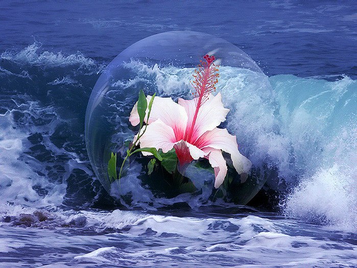 ))). Monuela Moya "Expecty" Monuela Moya "Expecty" ... - 5