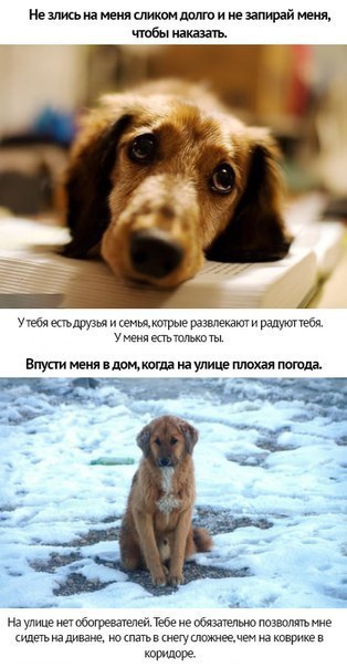    - 3