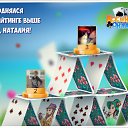 ���� ���������, ���������������, 61 ��� - ��������� 23 ������� 2016 � ������ �������� �������-�������