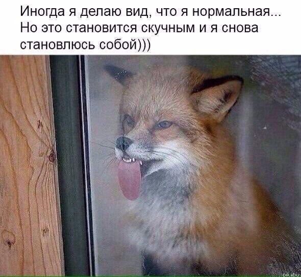    - 12  2016  16:45