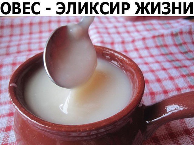 Этот напиток умирающего на ноги поставит! Овес - эликсир жизни - поднимет на ноги даже самого ...