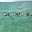 �. ����� ���������� �� ������� ���� ����������