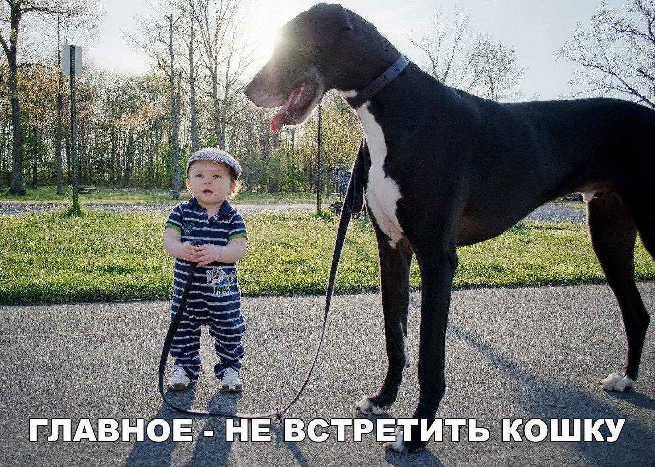    :D - 11  2016  21:02