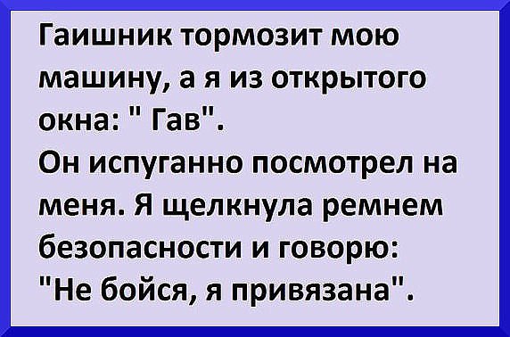    - 25  2016  10:19