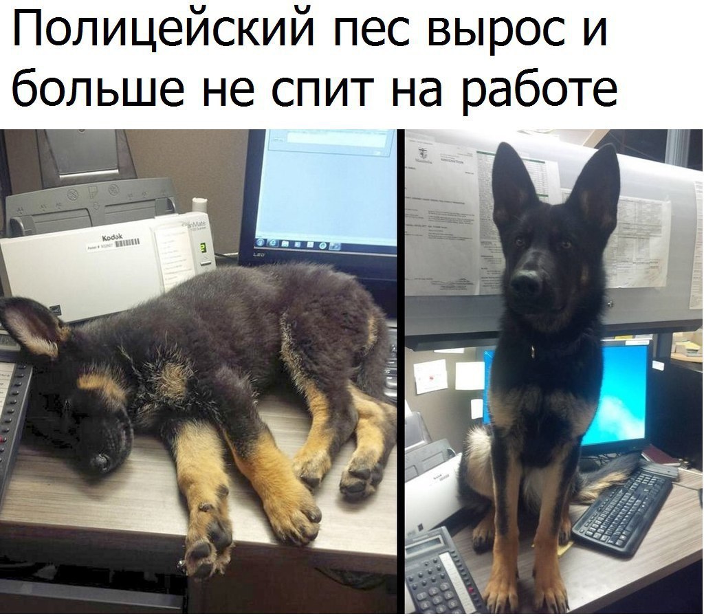  - 24  2016  23:33