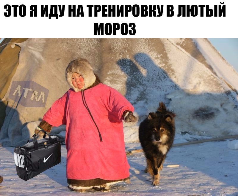  -   - 27  2016  14:16