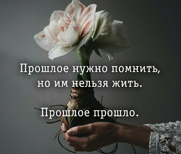 .Life.Is.Life. - 19  2017  14:25