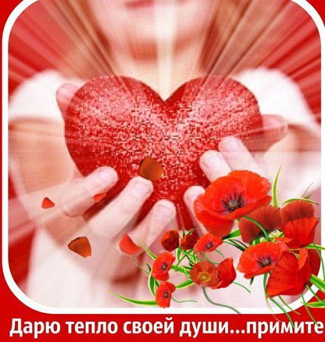  -  - 5  2016  23:08