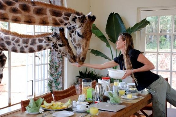 ))).Саванна. GiraffeManor, Найроби, КенияОдно из самых знаменитых зданий в Найроби, отель ...