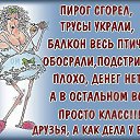 ���� �����, �������, 56 ��� - ��������� 8 ������� 2016 � ������ ���� ����������