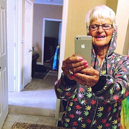 ���� ������, ������, 84 ���� - ��������� 13 �������� 2016