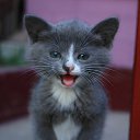 ���� ����, ����������, 57 ��� - ��������� 15 ������� 2016