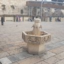 ���� C���, ����� �� ���� - ��������� 17 ������� 2016 � ������ ���� ����������