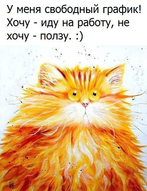   - 28  2017  19:50