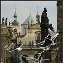 ���� ���������, ������, 59 ��� - ��������� 3 ������� 2016 � ������ ���� ����������