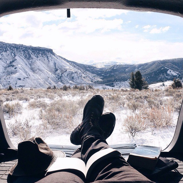   - Bruin Alexander. - 8