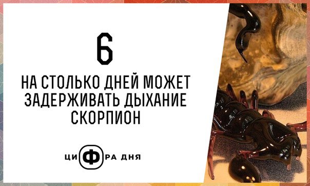  - 23  2016  12:17