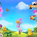 ���� ����, ������-��-���� - ��������� 8 ����� 2017 � ������ �������� �������-�������