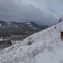 ���� ���������, ����������, 42 ���� - ��������� 3 ������ 2016 � ������ ������