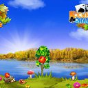 ���� �������, �����-���������, 49 ��� - ��������� 31 ������� 2016 � ������ �������� �������-�������